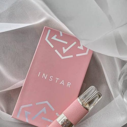 青提-INSTAR-皮革主機-單主機-QNGTI